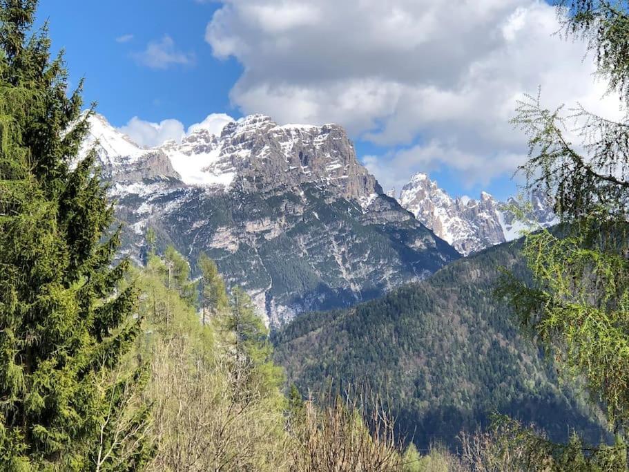 Appartamento Giada Pozzale Di Pieve Di Cadore Ngoại thất bức ảnh